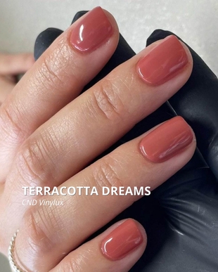 TERRACOTTA DREAMS